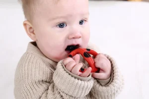 Mombella Baby Teething Toothbrush - Ladybug