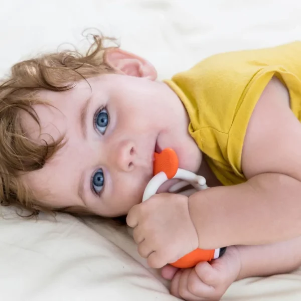 Mombella Clownfish Soothing Teether Toy