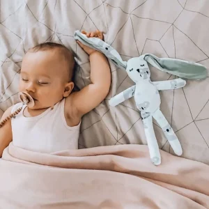 Jellystone Cuddle Bunny - Koala