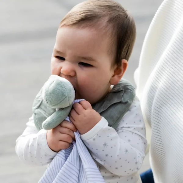 Little Linen Little Bamboo Comforter - Fifi Fox