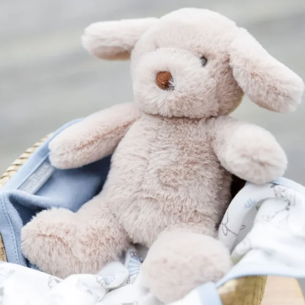 Little Linen Plush Toy & Washers - Barklife Dog