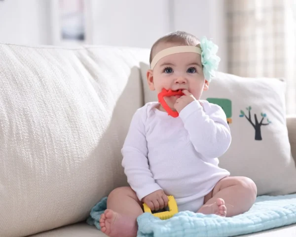Mombella Animal Teethers