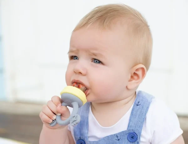 Cherub Baby Silicone Fresh Food Feeder & Tether - Lemon & Grey