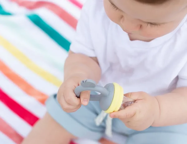 Cherub Baby Silicone Fresh Food Feeder & Tether - Lemon & Grey