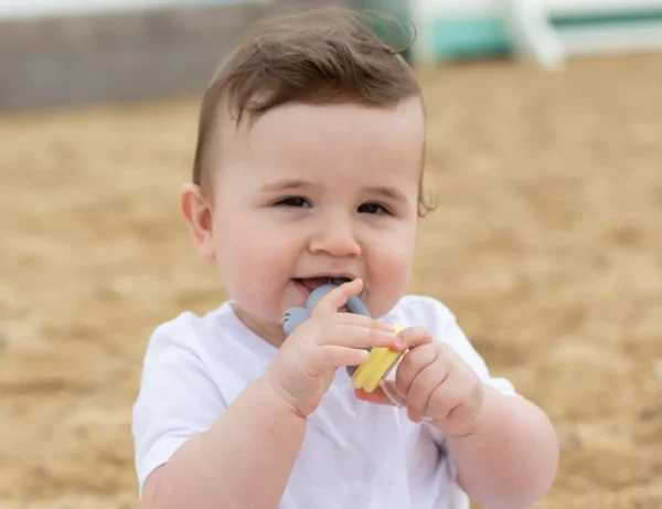 Cherub Baby Silicone Fresh Food Feeder & Tether - Lemon & Grey