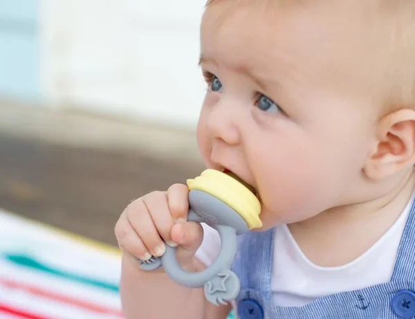 Cherub Baby Silicone Fresh Food Feeder & Tether - Lemon & Grey