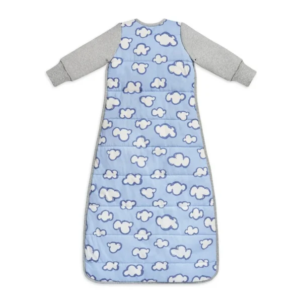 Love To Dream Sleep Bag™ Warm 2.5 TOG - Daydream Blue